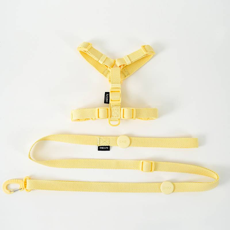 PACKAGE (BRAIN S+ TOWED ROPE)